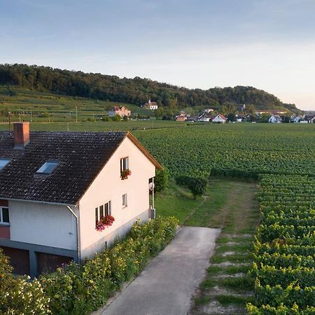 Apartament Winzerhof Henkenberg Niederrotweil Zewnętrze zdjęcie
