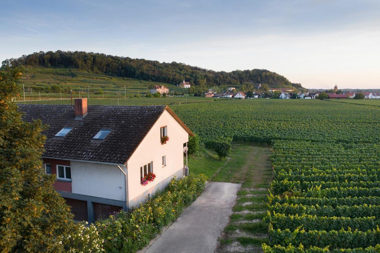 Ferienwohnung Mit 65Qm Niederrotweil Zewnętrze zdjęcie