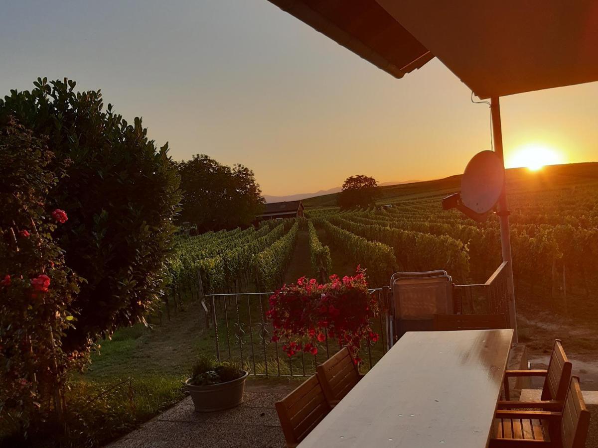 Apartament Winzerhof Henkenberg Niederrotweil Zewnętrze zdjęcie
