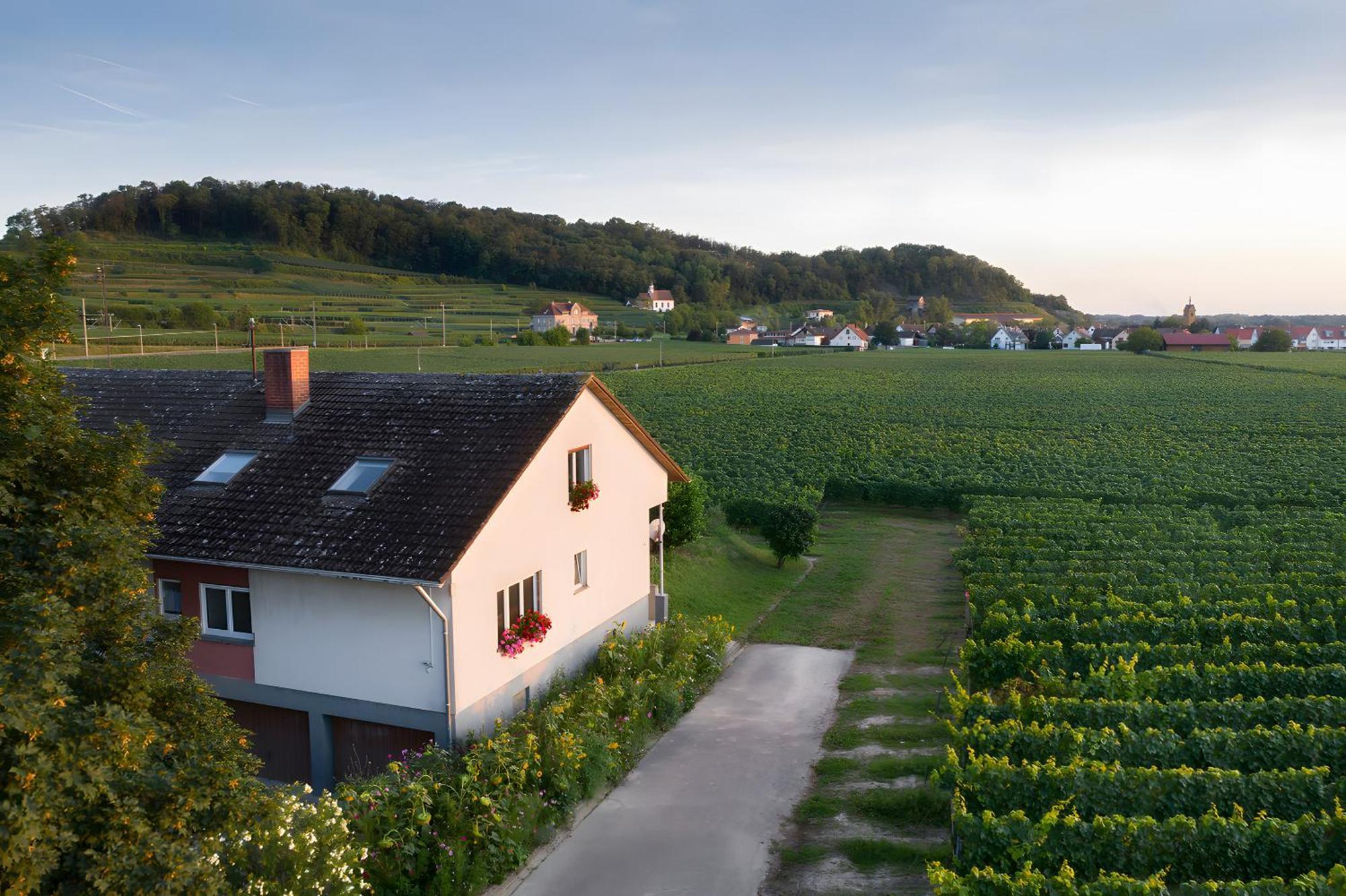 Ferienwohnung Mit 65Qm Niederrotweil Zewnętrze zdjęcie
