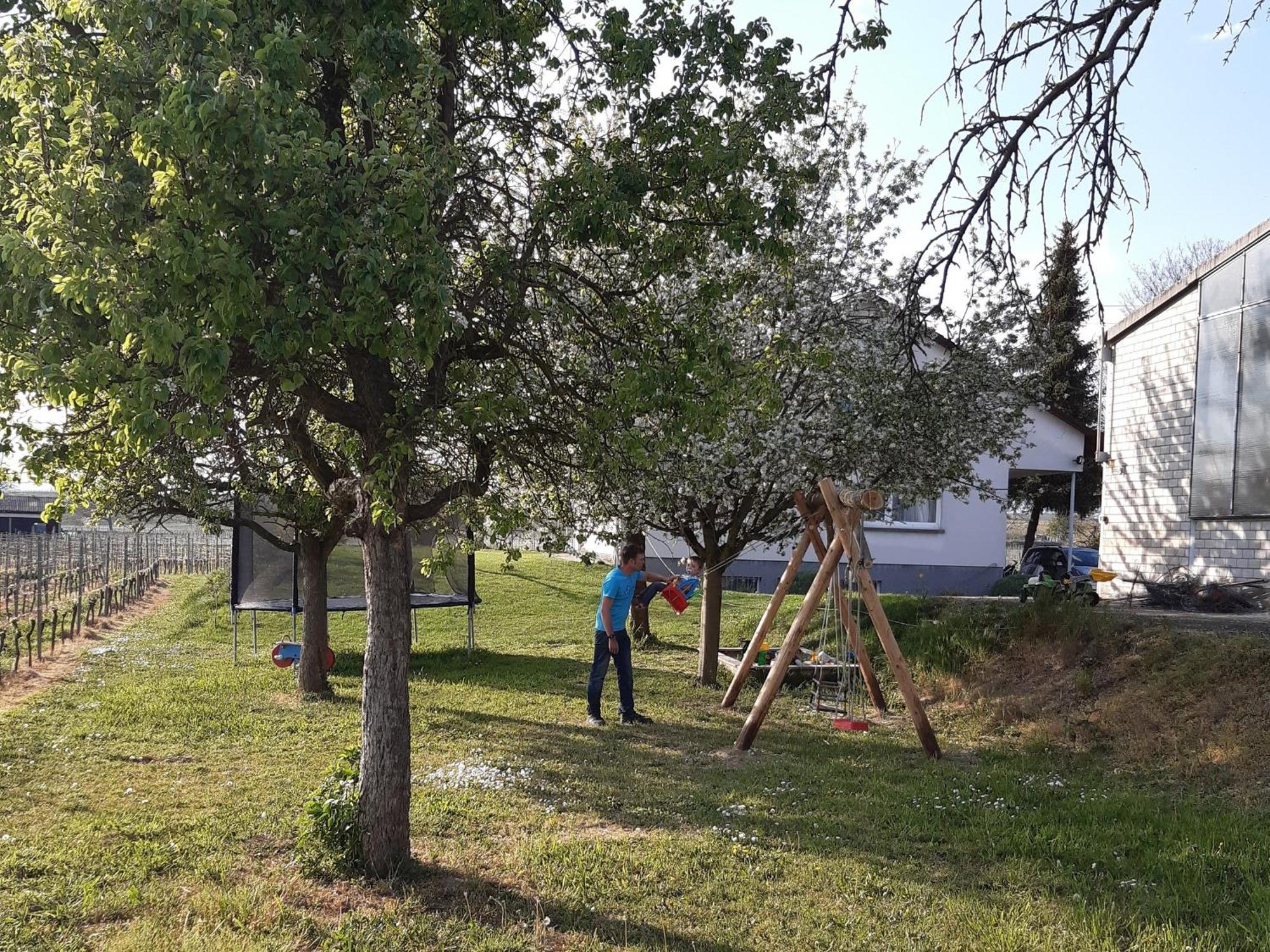 Ferienwohnung Mit 65Qm Niederrotweil Zewnętrze zdjęcie